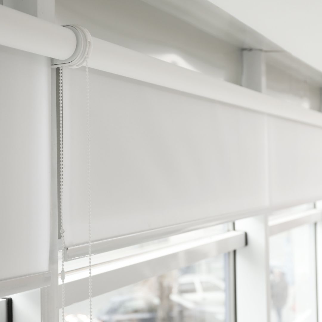 zebra-blinds (2)